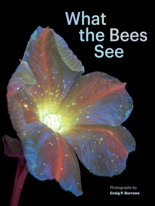 Title details for What the Bees See by Craig P. Burrows - Available